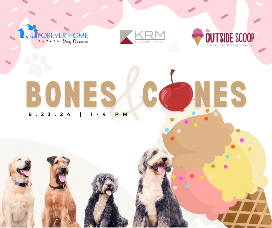 Open House | 6.23
