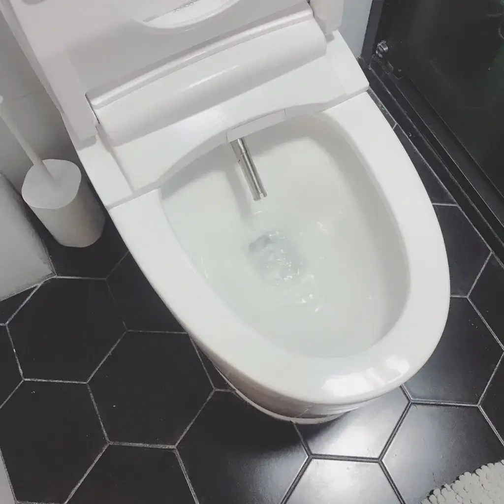 A bidet toilet